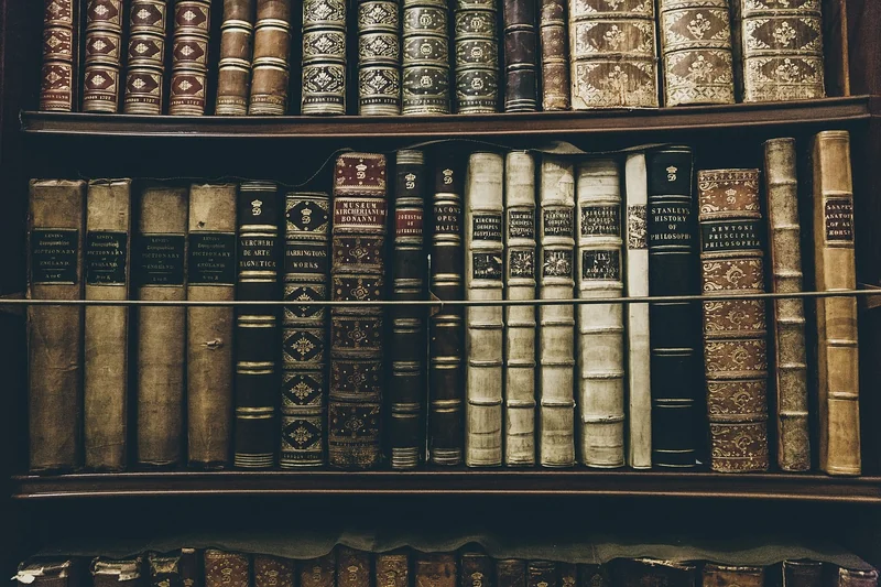 Compétences futures : que faut-il vraiment apprendre aujourd'hui ?