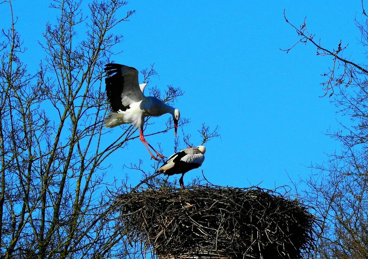 Les raccourcis clavier indispensables pour gagner du temps sur Windows en 2026